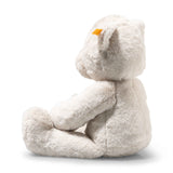 Robby Teddy bear (42 cm)