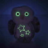 Light at Night Wittie Owl (19 cm)