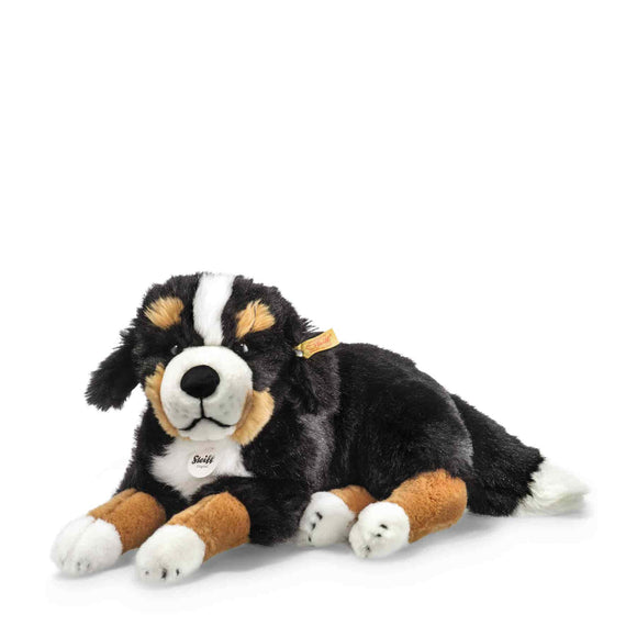 Senni Bernese Mountain Dog (45 cm)